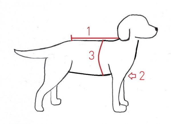 Kostenlos schnittmuster hund Hundehalstuch nähen